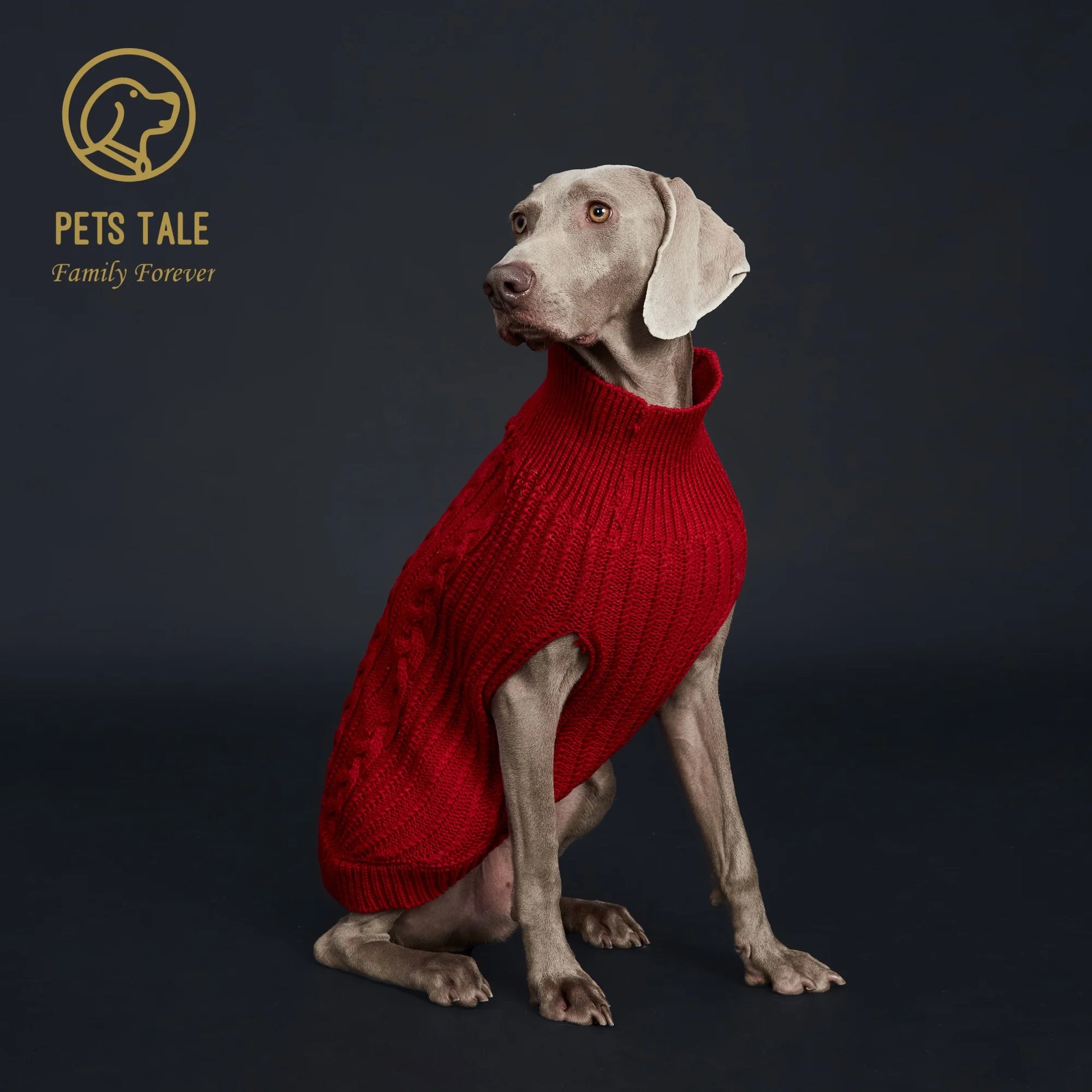Cozy Knitted Pet Sweater for Winter - Keep Your Dog Warm and Stylish