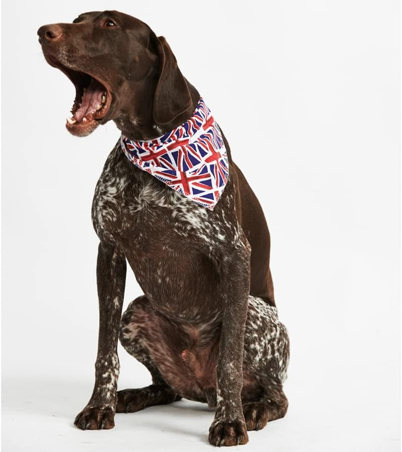Union Jack Bandana for Dog, X-Small/Small