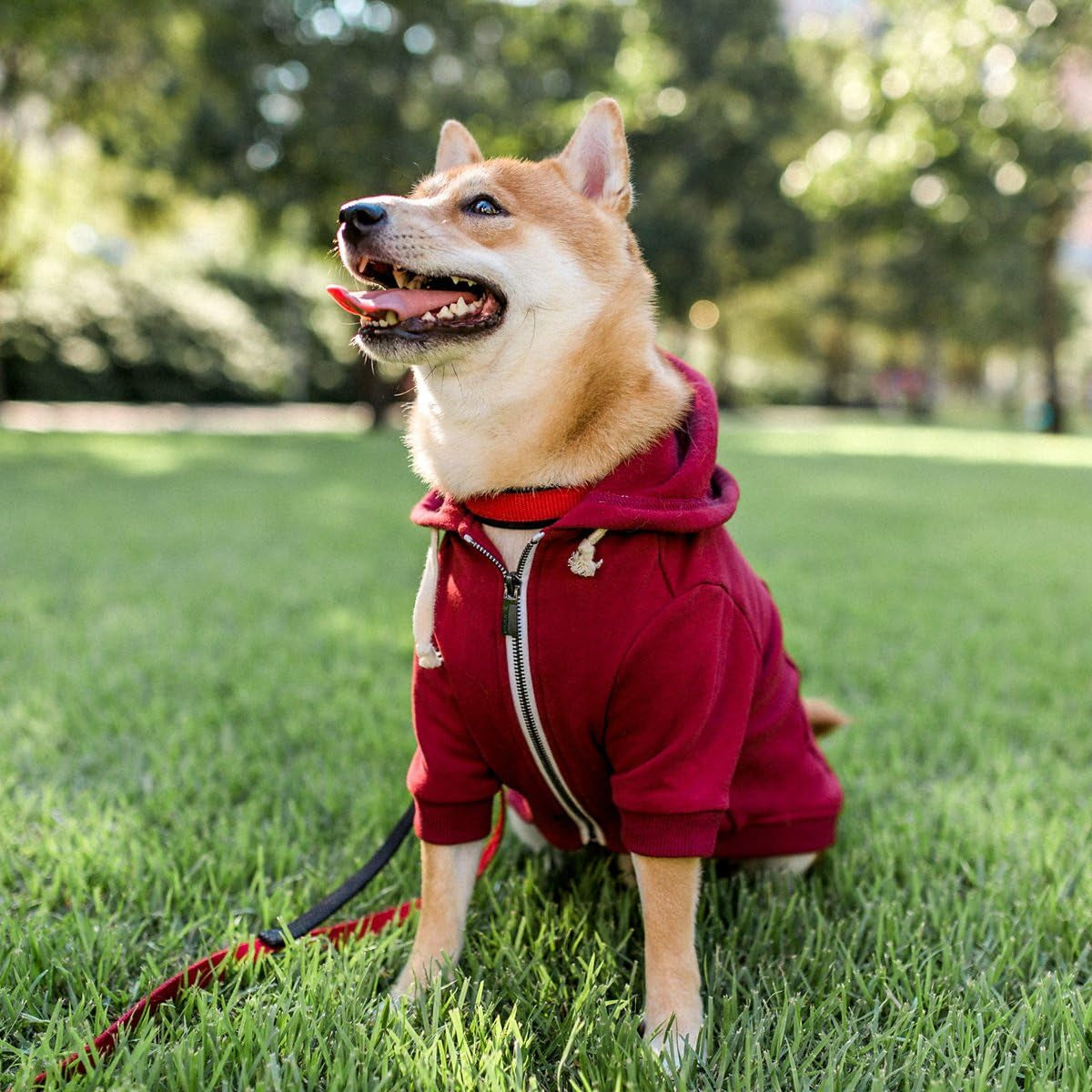 Zip up Adventure Dog Hoodie with Hook & Loop Pockets and Adjustable Drawstring Hood - XXS to XXL - Multiple Colors - Comfortable & Versatile Dog Hoodies (Maroon, XXS)