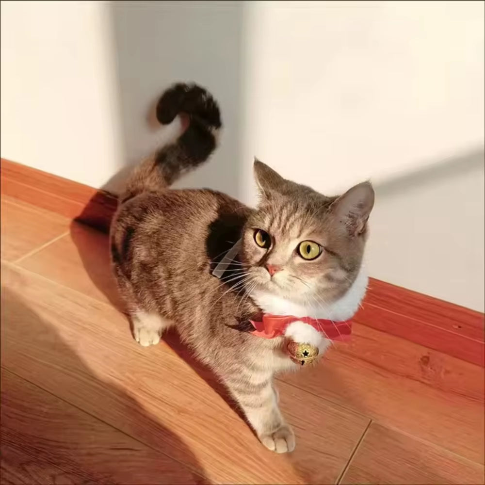 Pet Christmas Collar - Cat and Dog Red Wedding Christmas Ribbon Bowbell New Year Collar Handmade Party Decoration Pet Accessory