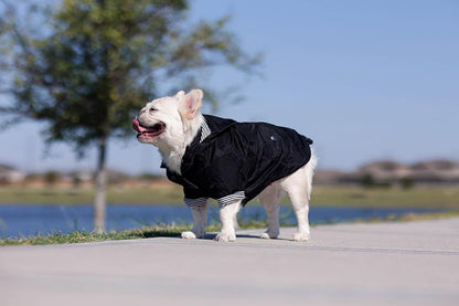 Midnight Black Zip up Dog Raincoat with Reflective Buttons, Pockets, Rain/Water Resistant, Adjustable Drawstring, & Removable Hood - XXS to XXL - Premium Dog Raincoats (Large, Black)