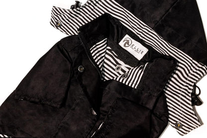 Midnight Black Zip up Dog Raincoat with Reflective Buttons, Pockets, Rain/Water Resistant, Adjustable Drawstring, & Removable Hood - XXS to XXL - Premium Dog Raincoats (Large, Black)