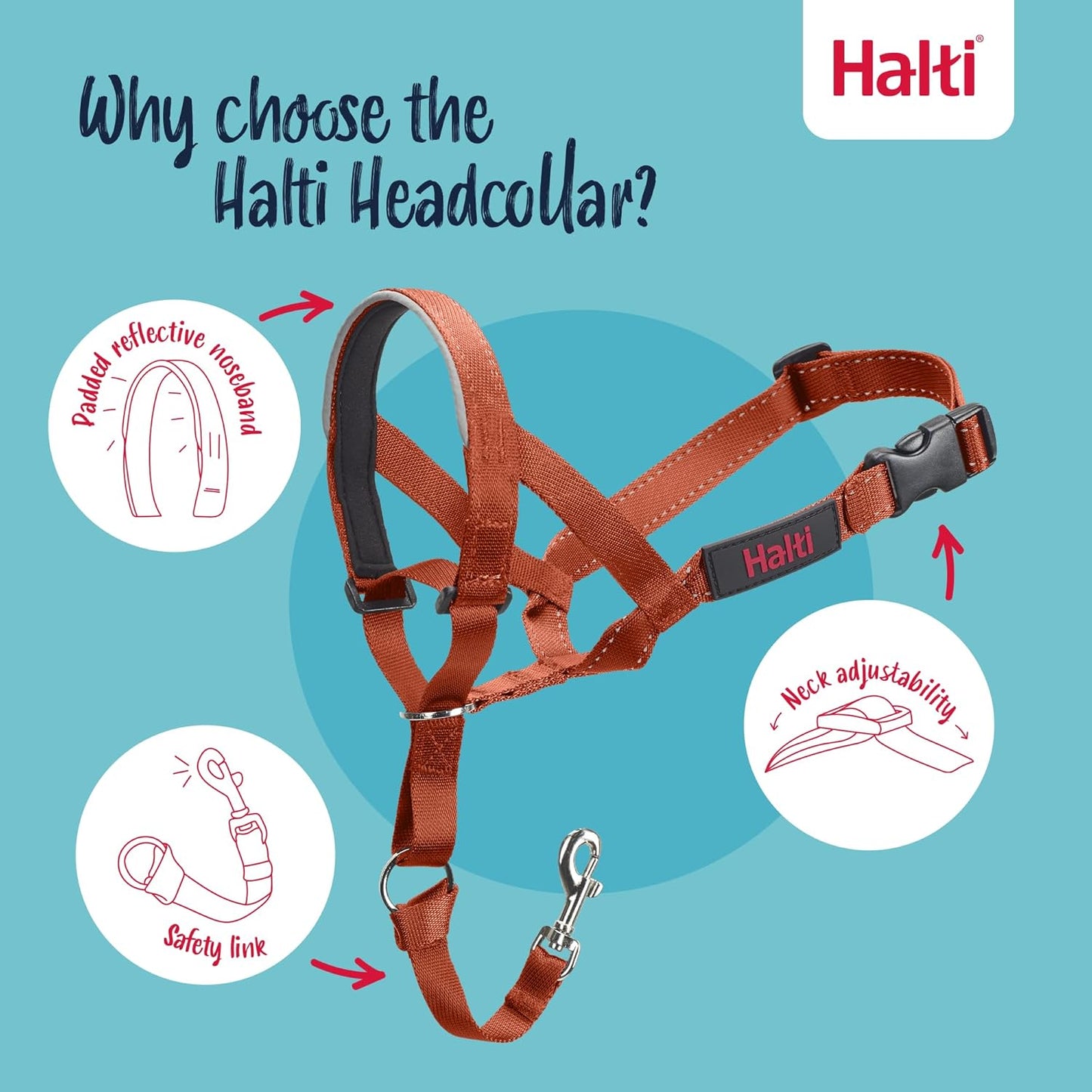 Headcollar - to Stop Your Dog Pulling on the Leash. Adjustable, Reflective and Lightweight, with Padded Nose Band. Dog Training Anti-Pull Collar for Medium Dogs (Size 2, Burnt Orange)