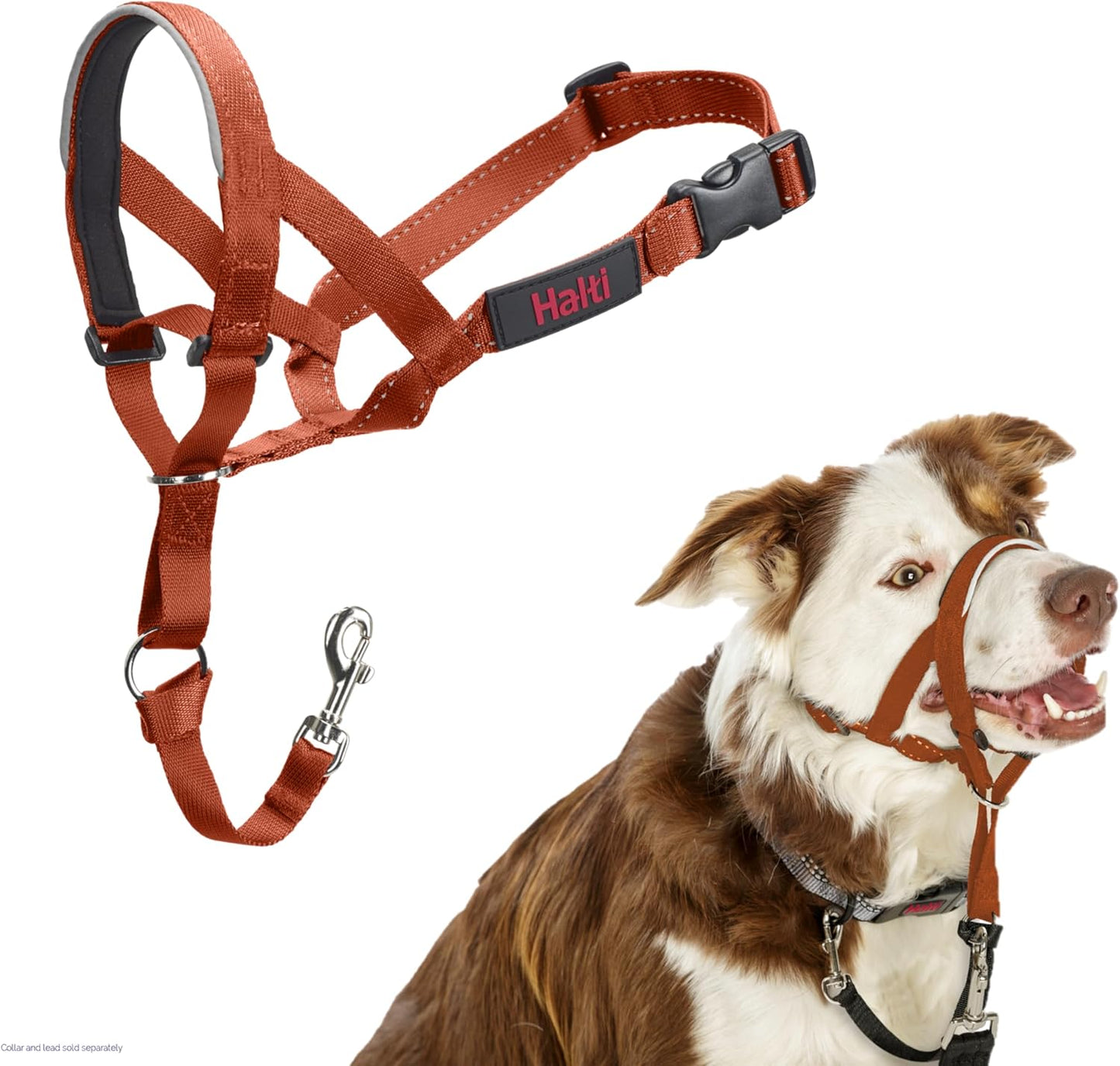 Headcollar - to Stop Your Dog Pulling on the Leash. Adjustable, Reflective and Lightweight, with Padded Nose Band. Dog Training Anti-Pull Collar for Medium Dogs (Size 2, Burnt Orange)