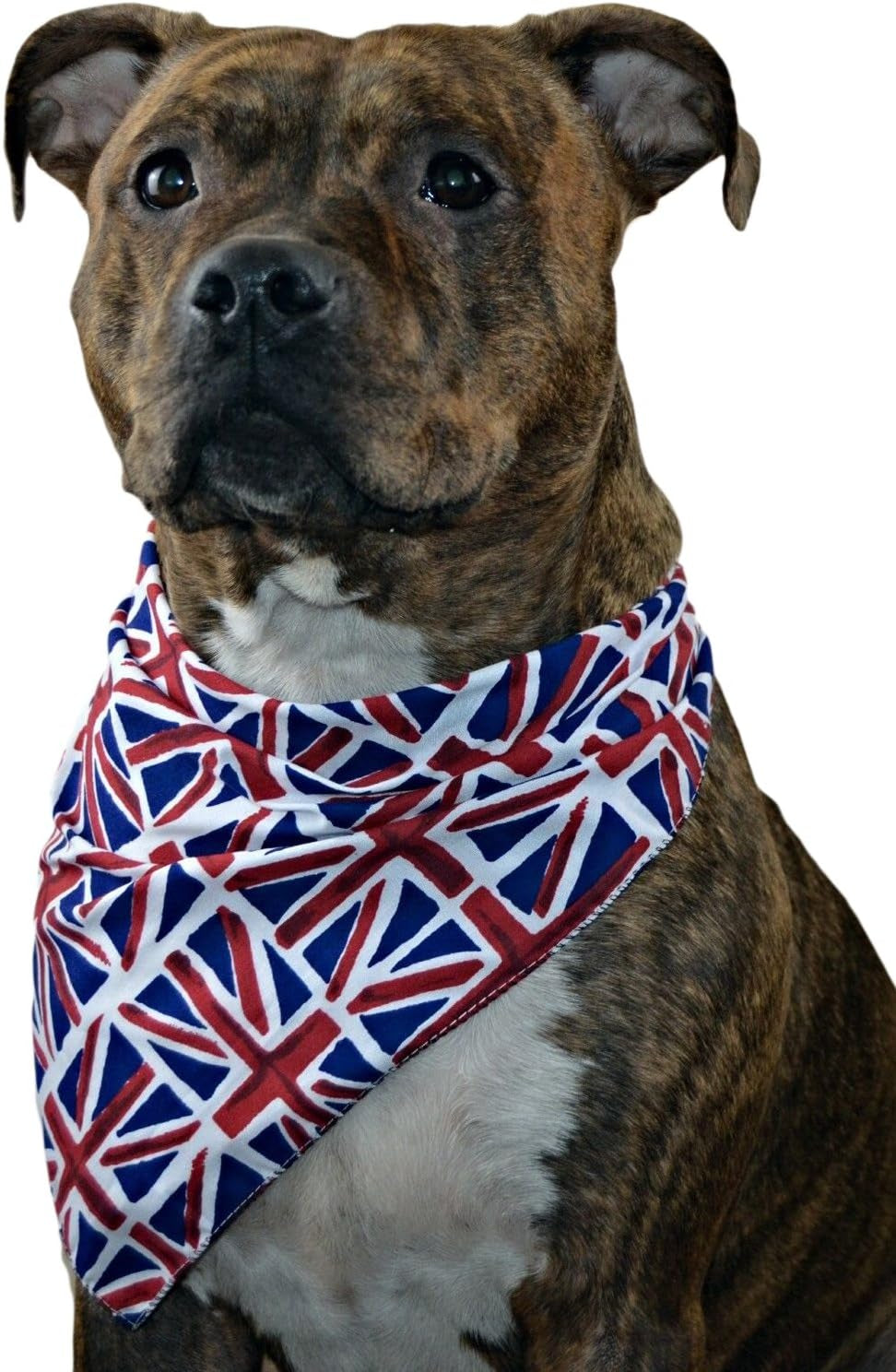 Union Jack Bandana for Dog, X-Small/Small
