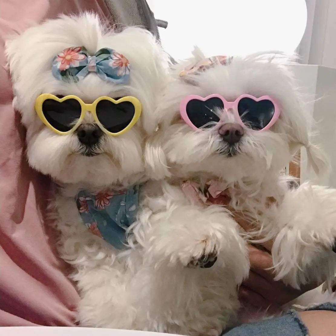New Love Pet Glasses Dog Cat Cute Creative Fashion Sunglasses Sunglasses with Jewelry Pet Beauty Decoration Supplies