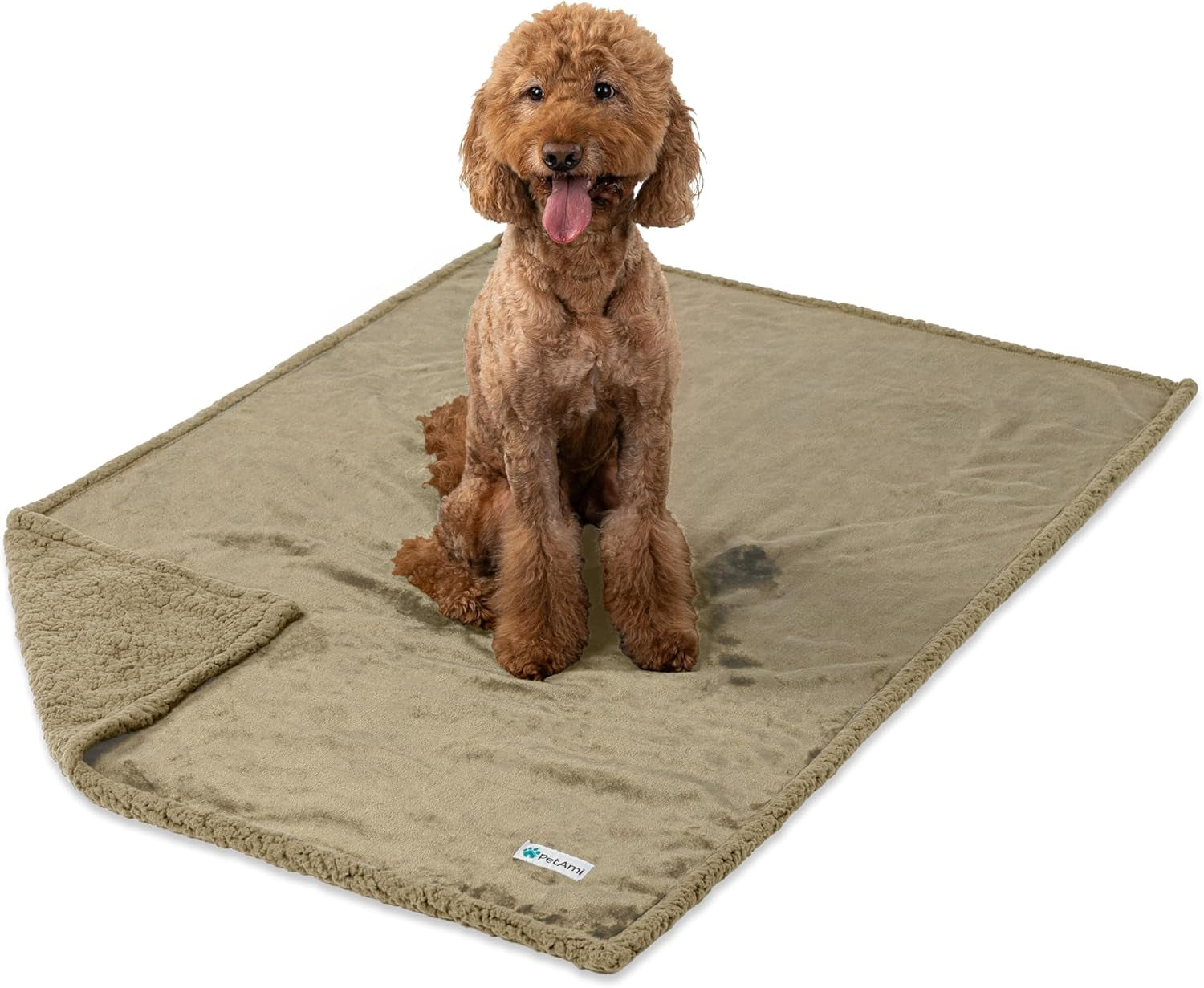 Waterproof Dog Blanket for Medium Large Dog Puppy Cat Throw for Couch Cover Leakproof Protection, Sherpa Fleece, Reversible Soft Washable 60X40 Taupe Taupe